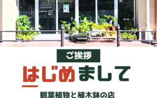 自己紹介