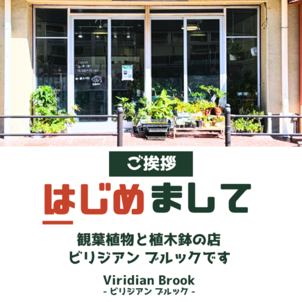 自己紹介